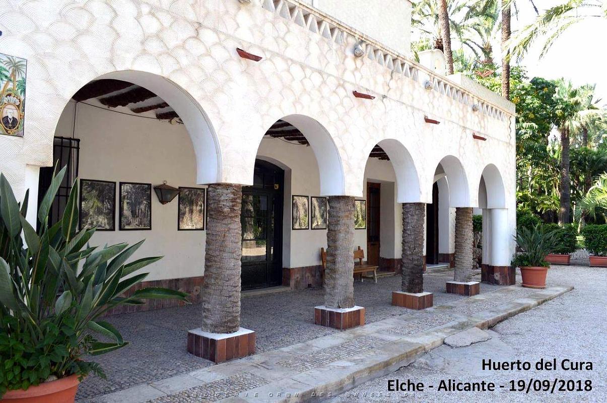 19 ELCHE HUERTO DEL CURA (6).JPG